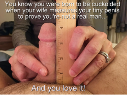 When your wife measures your tiny dick..