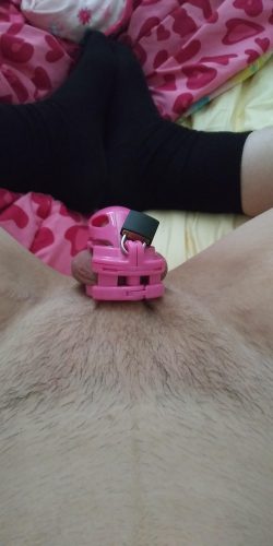 New chastity cage