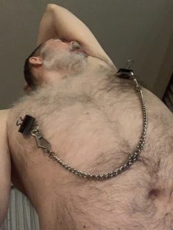 My hairy chest with clamps