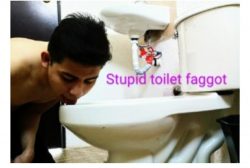 Fag loves lick toilets