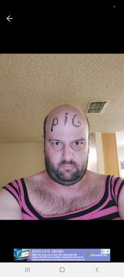 Faggo pig
