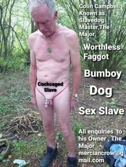 Useless faggot, little cock loser Colin Campbell the SlaveDog