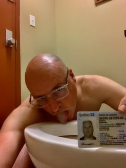 Toilet licker Normand Gareau is a faggot from Montreal Québec Canada