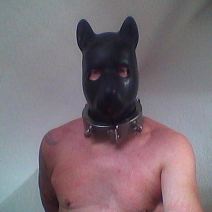 @SuBursche , i am a Skin dog slave 