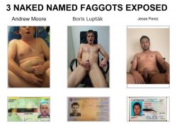 EXPOSURE WHORES : all naked all erect and all with IDs