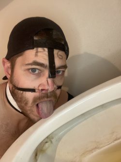 Toilet licking faggot