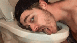 Toilet licking faggot gif