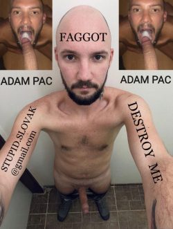 ADAM PAC STUPID FAGGOT SHARE HIM EVERYWHERE TELEGRAM @cocksucker_sk