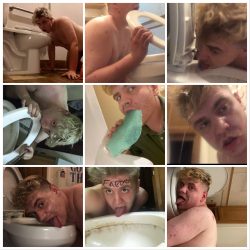 Zachary kaliszewski Toilet faggot