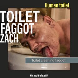 Toilet faggot ad