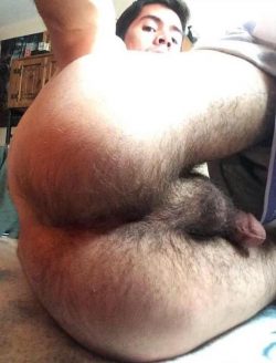Mexican slut giving his hairy ass to men