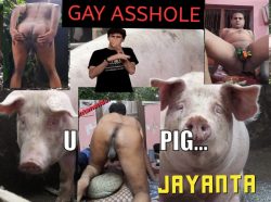 Jayanta Butt Slut My Masculinity is lost and became a Dirty Piggy Whore