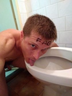 Licking Toilet Fag