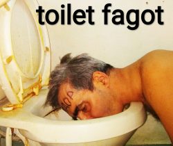 humiliation toilet fag