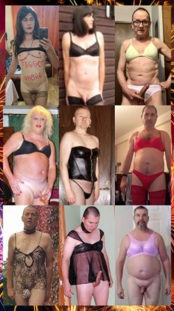 CONGRATULATIONS SISSIES!!!! You have made THE SISSY COLLAGE