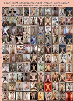 Mega Collage of 100 Faggots.