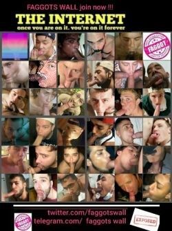 faggotmikey exposed on internet collage