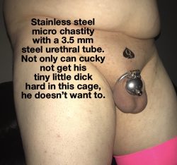 A micro penis in a micro chastity cage – the perfect match!