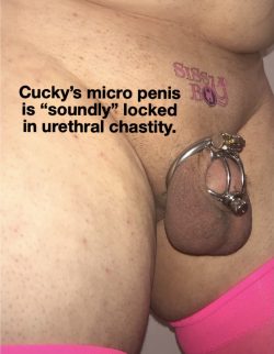 Locked up and immobilized in chastity. The best place for my clitty.
