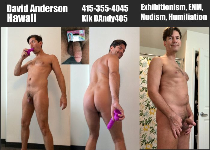 David Anderson-Exposure Faggot