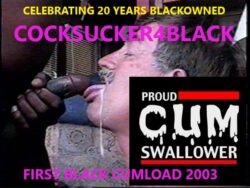 COCKSUCKER4BLACK….CELEBRATING SUCKING BLACK COCK ONLY FOR 20 YEARS…I LOVEIT..