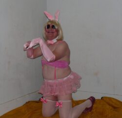 bunny sissy begging for it