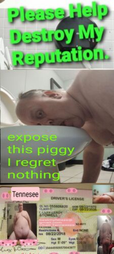 Piggy fag