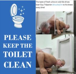 Guy Trépanier toilet cleaner