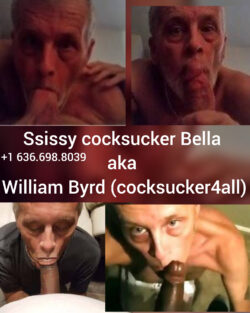 Exposed Sissy cocksucker Bella aka Bill Byrd