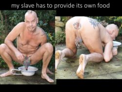 exposure of my slave is public property